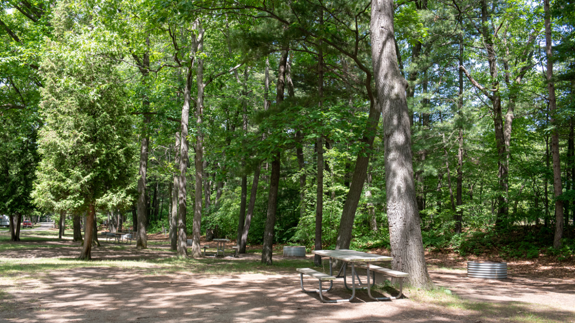 Albert E. Sleeper State Park